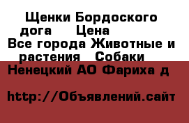 Щенки Бордоского дога.  › Цена ­ 30 000 - Все города Животные и растения » Собаки   . Ненецкий АО,Фариха д.